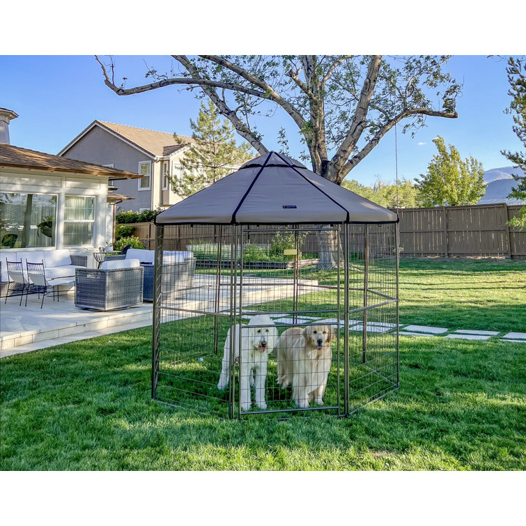 Gazebo 2024 dog kennel